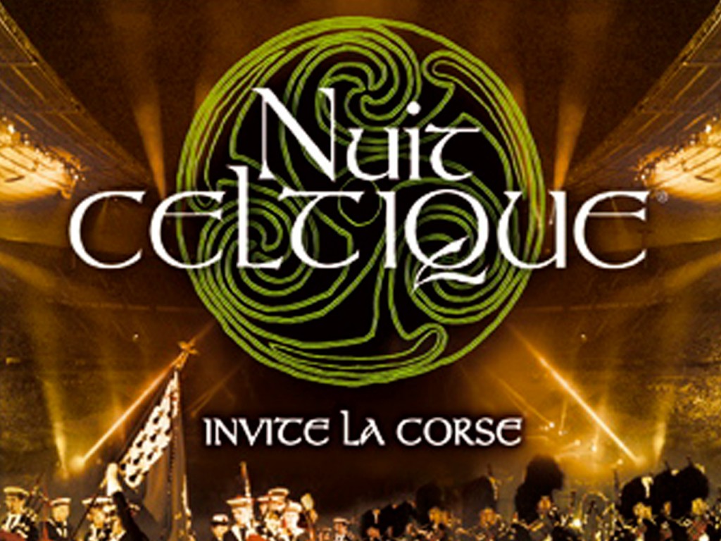 Concert Nuit Celtique Stade de France