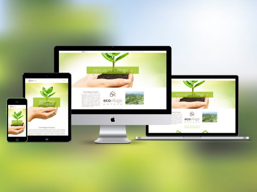 Site Internet Ecovillage Goyave