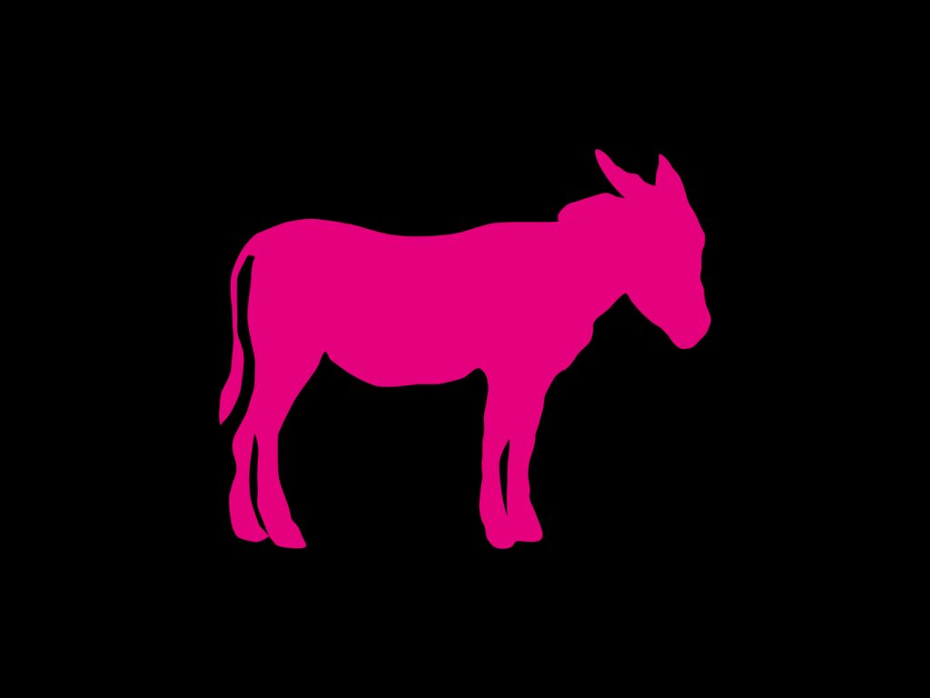 LOGO-PAS-DE-L'ANE-00